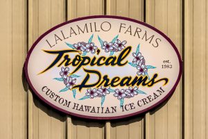 Photos---200122-07-Tropical-Dreams-Ice-Cream